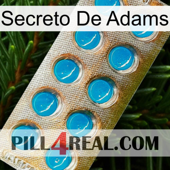 Adams Secret new09.jpg